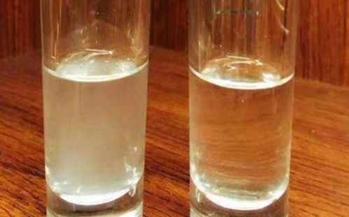 广东人送礼必看！这10大白酒品牌闭眼入不踩雷，附赠避坑指南和真实案例