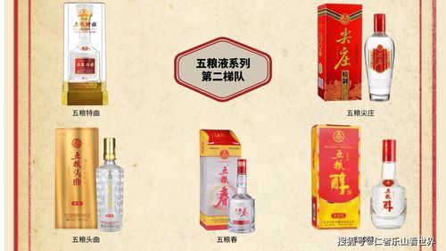 广东人送礼必看！这10大白酒品牌闭眼入不踩雷，附赠避坑指南和真实案例