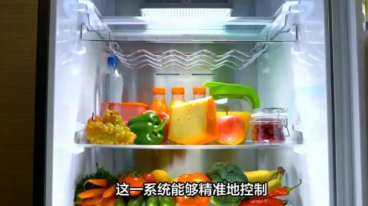 雪儿公主冰箱是品牌吗？真实测评+选购指南，看完再买不踩坑