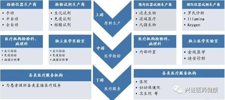 医药品牌分类与市场策略