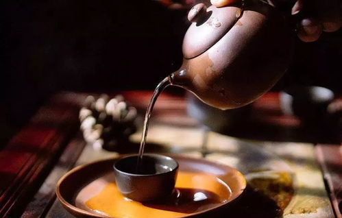醉马普洱茶，一杯茶里的马帮传奇