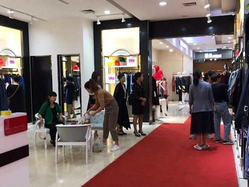 平价女装品牌加盟展会热点解析，平价女装品牌加盟展会盘点与案例分析