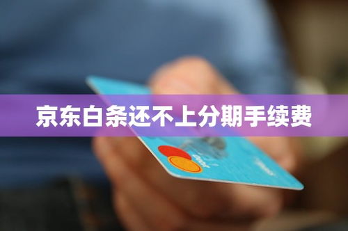 关于白条上取现手续费，你需要知道的一切