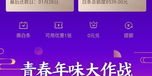 白条取现手续费全解析，避坑指南与省钱技巧