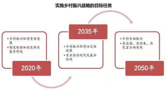 乡村振兴新引擎，现代化乡村经济体系建设的三大支柱与实战指南