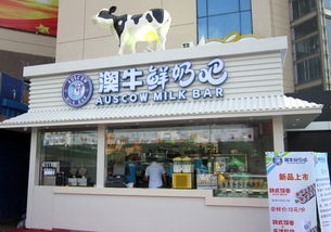 大连鲜奶加盟店品牌推荐及案例分析