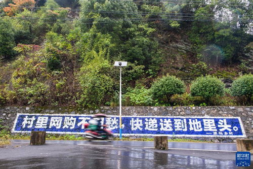 快递进村全攻略，打通最后一公里，让乡村生活更便利