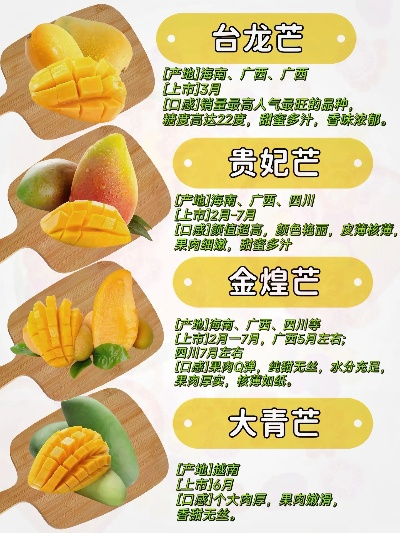 芒果加盟店热门品牌推荐及案例分析