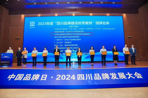 打造医药品牌，全面宣传方案与实践案例
