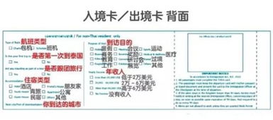 手把手教你查询酒店住宿记录，全流程指南+常见问题解答