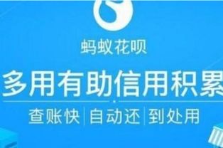 花呗购物攻略，轻松套现小技巧