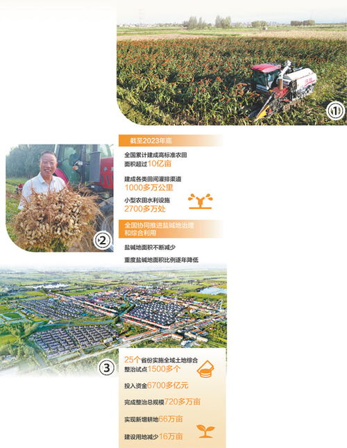 乡村振兴未来如何规划？这份接地气指南来了！