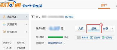淘宝先用后付额度提现商家，如何查看已用额度？