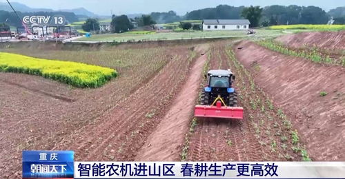 乡村田间急转弯，如何安全又高效地绕开危险