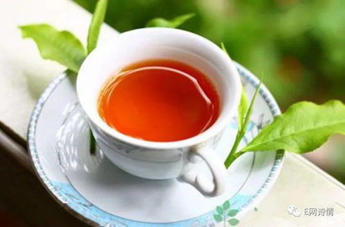 菱角茶品牌全解析，这5大品牌让你喝出秋日诗意