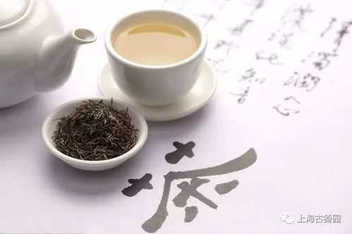 菱角茶品牌全解析，这5大品牌让你喝出秋日诗意