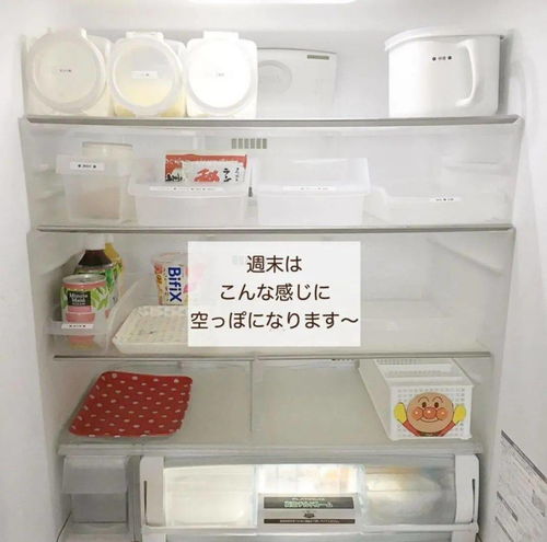 2023年控温精准冰箱选购指南，这些品牌让你告别食物浪费