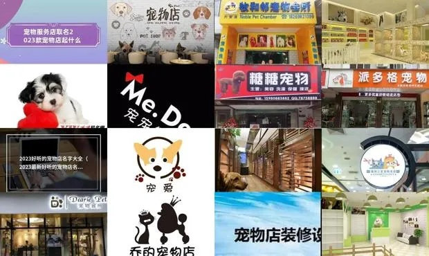 温州宠物店加盟热门品牌大盘点