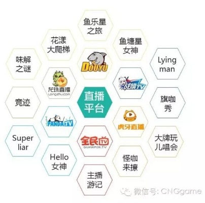 金华加盟小主播品牌大盘点