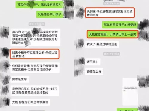 关于老公查老婆QQ聊天记录的探讨，理解与信任的边界