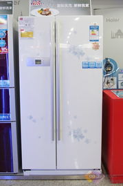 60厘米超薄冰箱价格全解析，尺寸、性能、选购指南