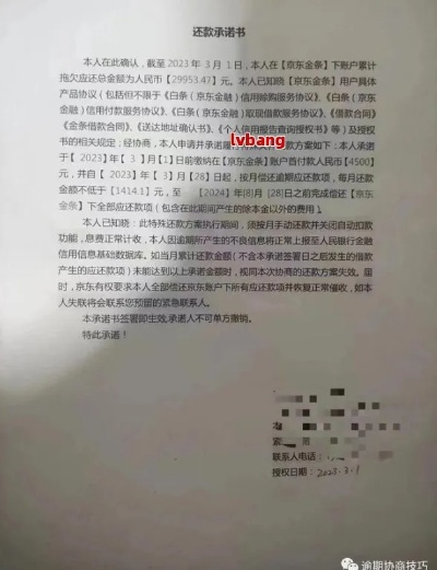 京东白条套现全解析，风险与技巧，看完再决定是否参与