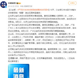 公安内网查开房记录全解析，流程、注意事项与典型案例