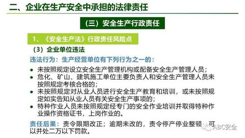公安内网查开房记录全解析，流程、注意事项与典型案例