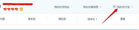 如何查看淘宝先用后付额度还剩多少？