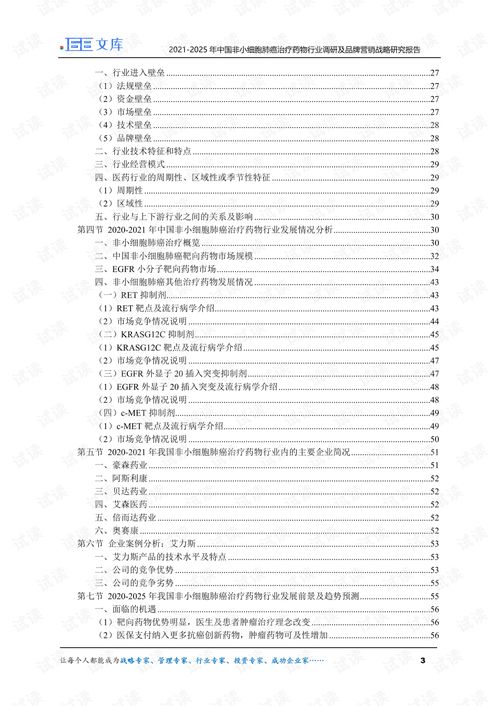 医药品牌销售策略与实践