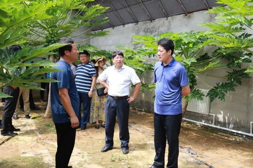 乡镇卫生院助力乡村振兴的三大支点，从小病不出村到健康有保障