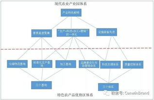 乡村振兴战略实施指南，从规划到落地的全流程解析