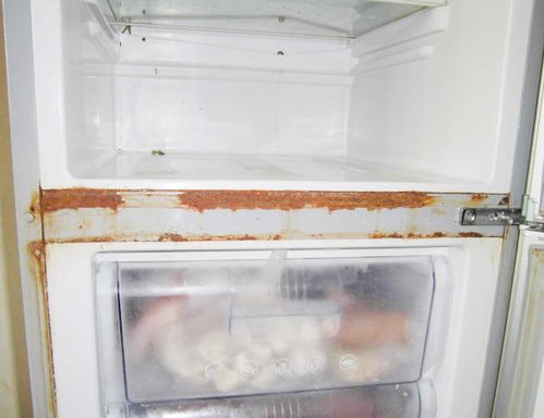 冰箱生锈怎么办？这8大品牌实测不生锈指南，附省钱攻略