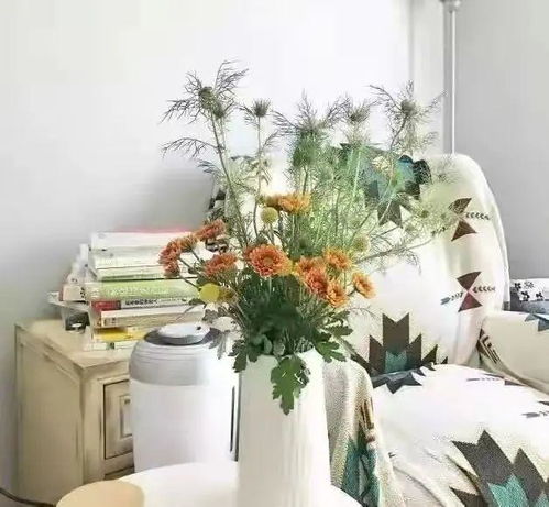 合肥家居花桶品牌商