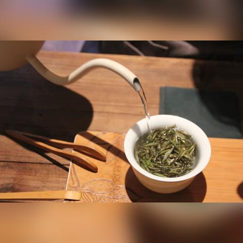 绿柴是哪里的茶叶品牌？揭秘安吉白茶背后的绿柴故事