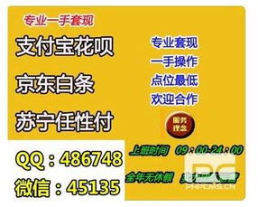 花呗扫码提现的全面指南