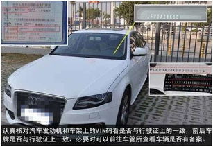 乡村不规则道路开车全攻略，老司机亲授避坑指南