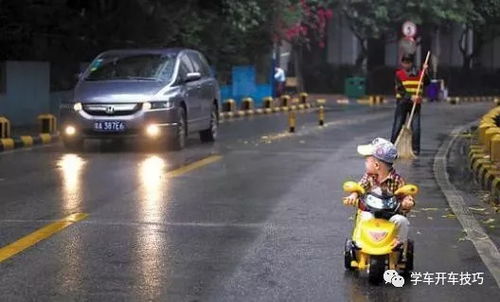乡村不规则道路开车全攻略，老司机亲授避坑指南