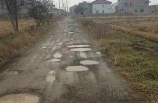 乡村不规则道路开车全攻略，老司机亲授避坑指南