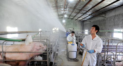 宜家鸭绒被洗不洗？价格、清洁技巧全解析