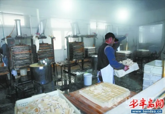 青岛豆腐干加盟品牌大盘点