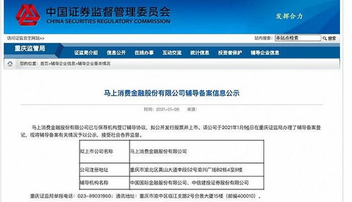 分期乐消费额度兑现指南，如何查看与提升额度？