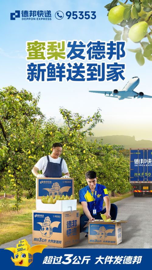 绿色物流助力双碳目标与乡村振兴，从减碳到助农的实践路径