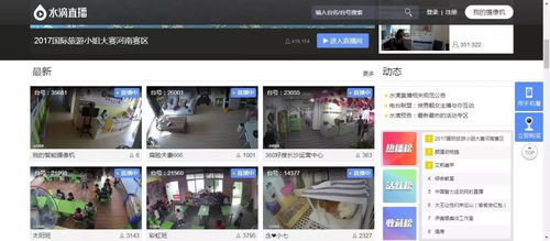 yy直播放大指南，从零到百万粉丝的实战经验