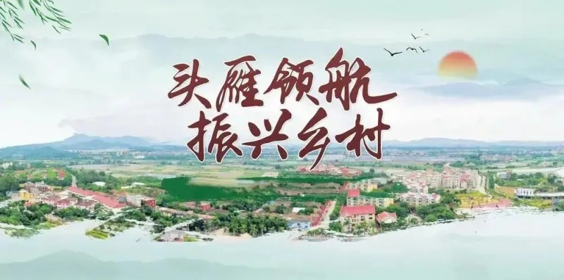 乡村小组长，乡村振兴中的领头雁成长指南