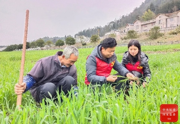 乡村小组长，乡村振兴中的领头雁成长指南