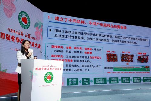 2017年羊小咩便荔卡套现方法详解，操作指南与案例分析
