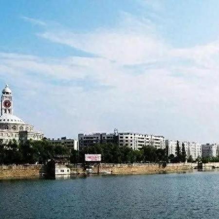 企业助力乡村振兴，从污染治理到生态振兴的实践路径