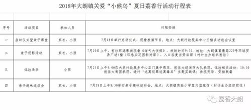 羊小咩便荔卡套费用详解，费用构成、操作流程及案例分析