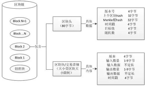 羊小咩便荔卡套费用详解，费用构成、操作流程及案例分析
